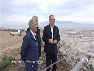 Visita plantaciones destrozadas por la nevada PSOE